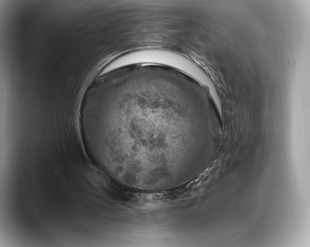 X0000088730147200705311435