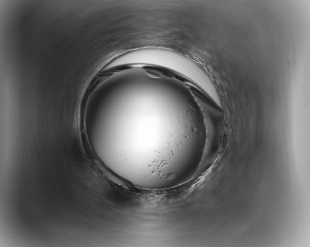 X0000088730148200705311435
