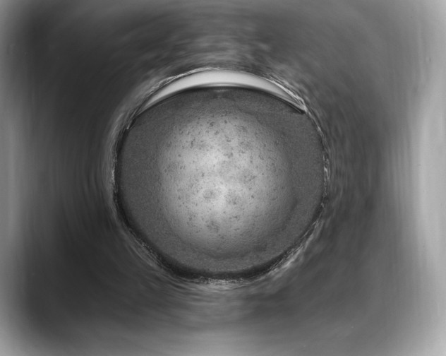 X0000088730149200705311435
