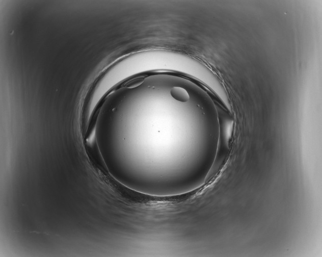 X0000088730150200705311435