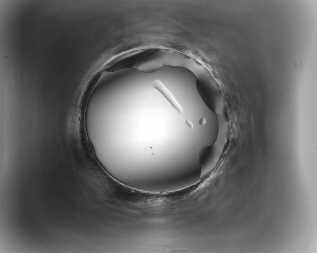X0000088730152200705311435