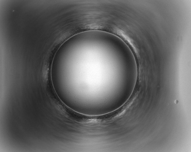 X0000088730153200705311435