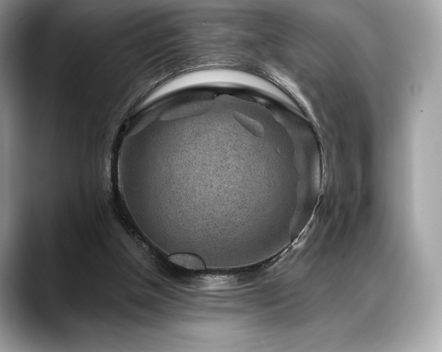 X0000088730154200705311435