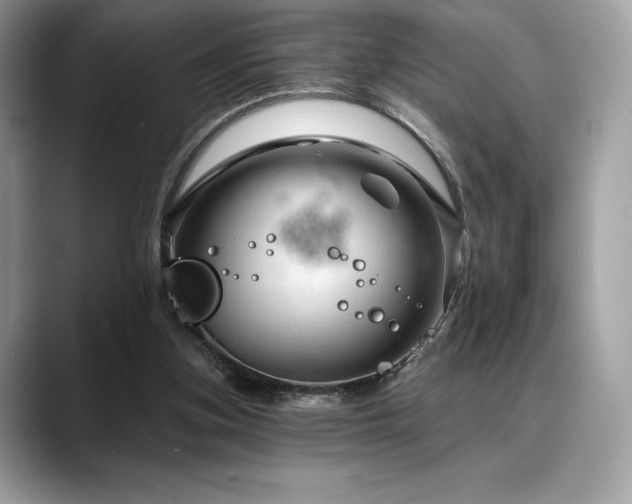 X0000088730155200705311435