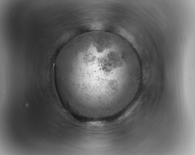 X0000088730161200705311435