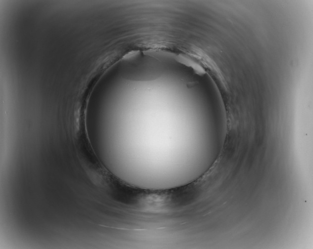 X0000088730163200705311435