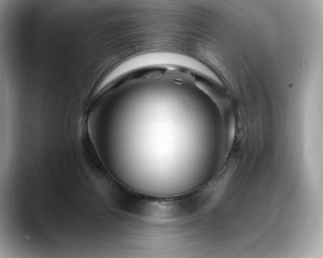 X0000088730164200705311435