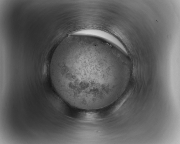X0000088730165200705311435