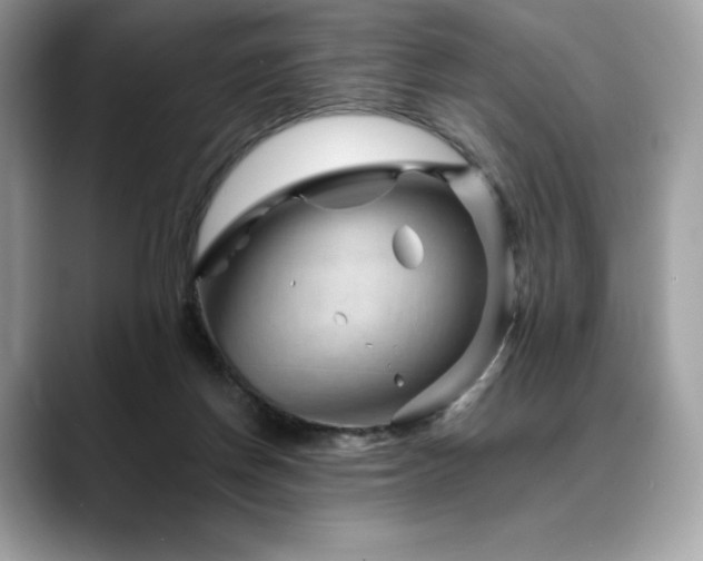 X0000088730166200705311435