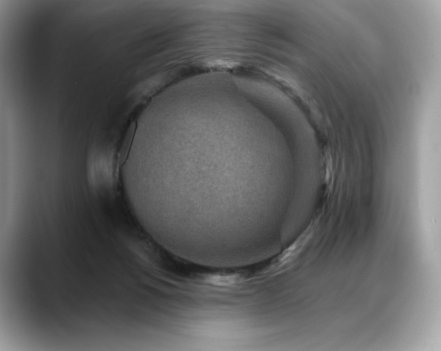 X0000088730168200705311435