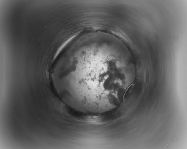 X0000088730169200705311435
