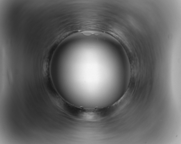 X0000088730171200705311435