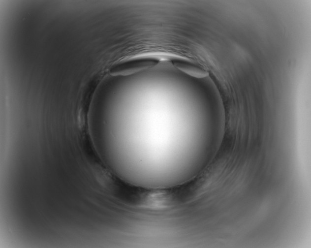 X0000088730173200705311435