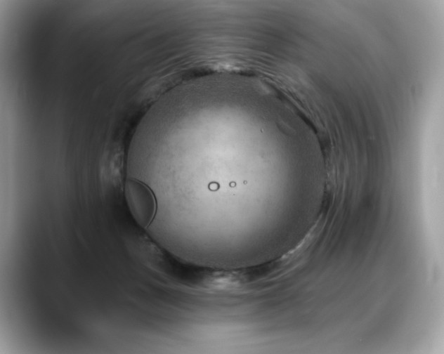 X0000088730175200705311436