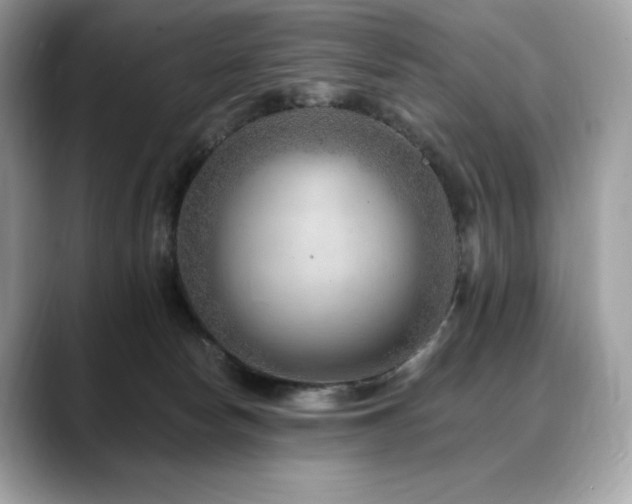 X0000088730178200705311436