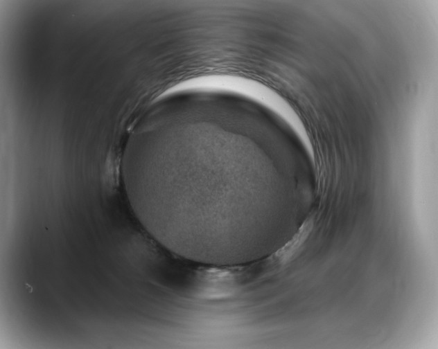 X0000088730180200705311436