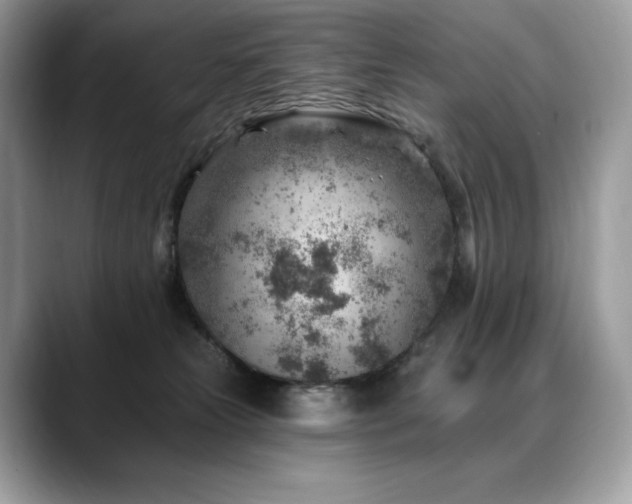 X0000088730181200705311436