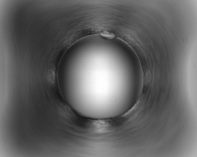 X0000088730183200705311436
