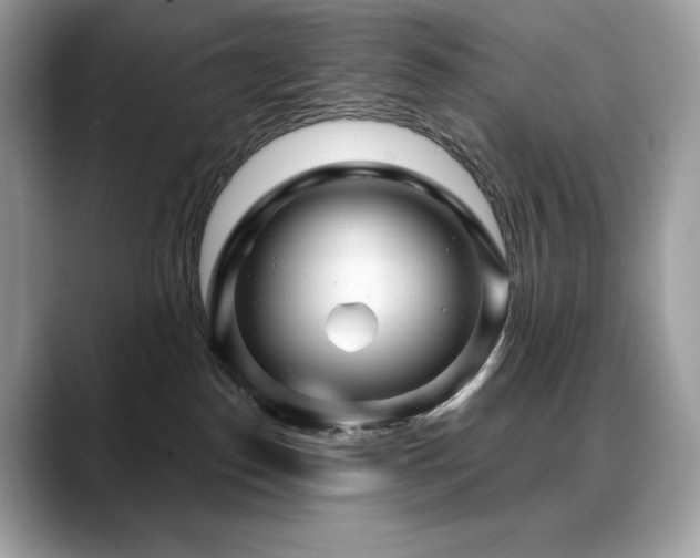 X0000088730186200705311436