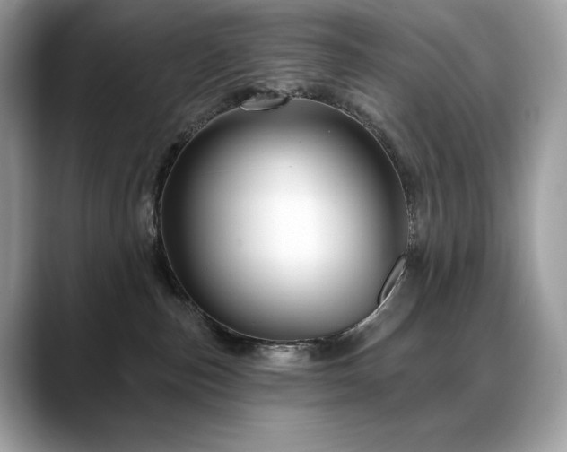 X0000088730187200705311436