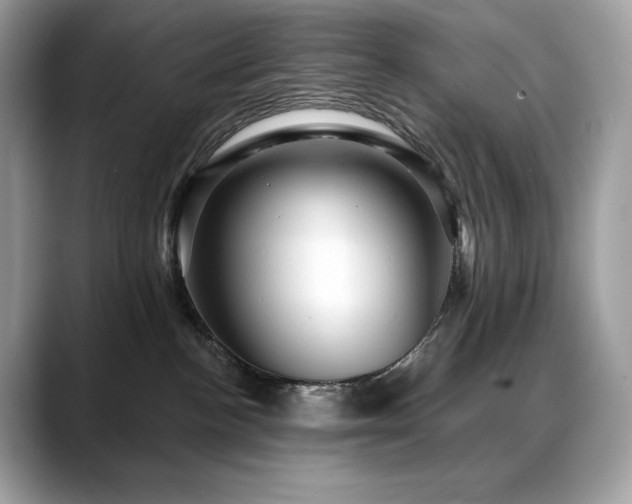 X0000088730188200705311436