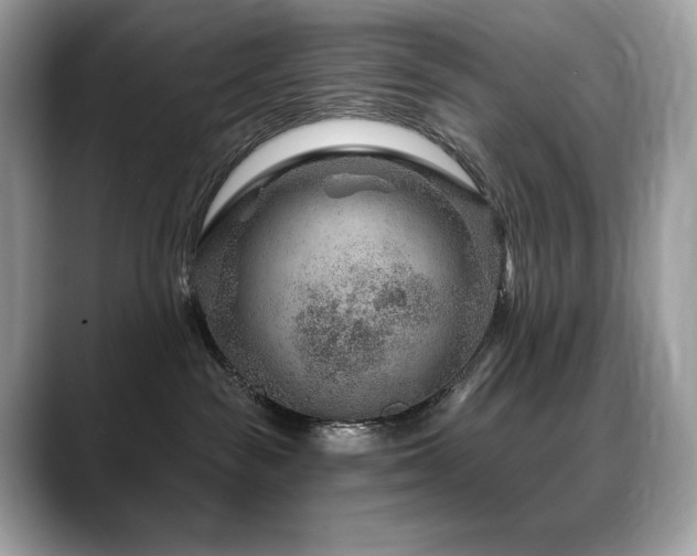X0000088730189200705311436