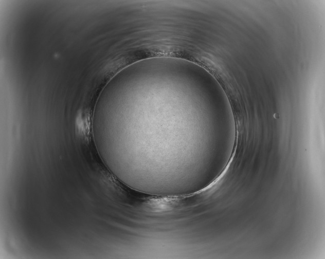 X0000088730190200705311436