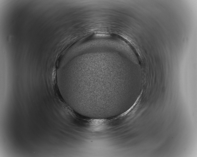 X0000088730192200705311436