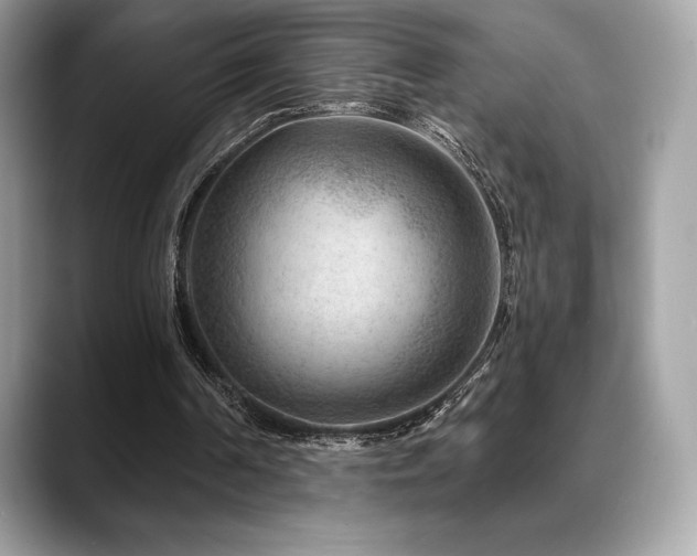 X0000088730194200705311435