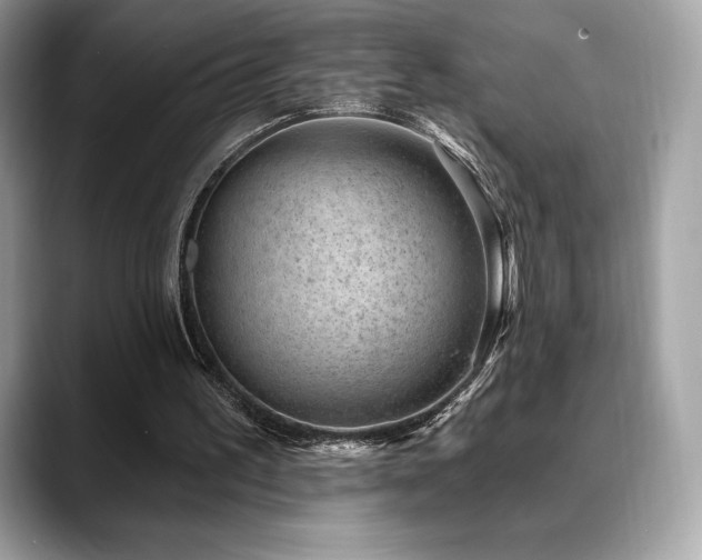 X0000088730195200705311435