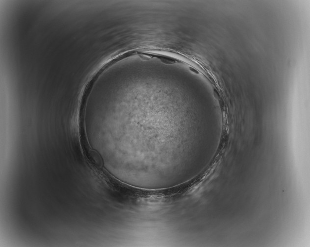 X0000088730196200705311435
