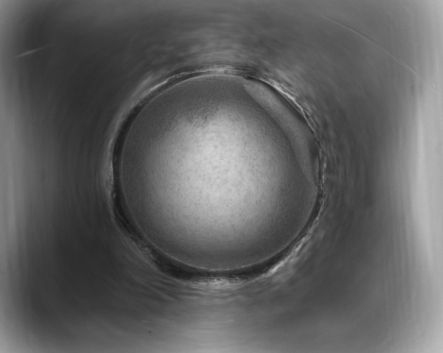 X0000088730198200705311435