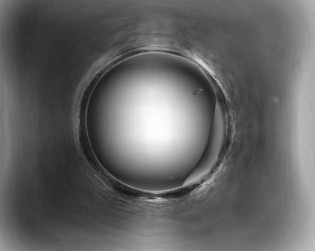 X0000088730199200705311435
