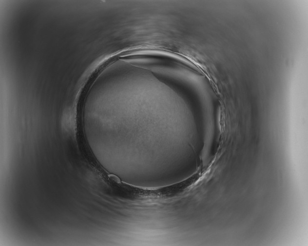 X0000088730200200705311435