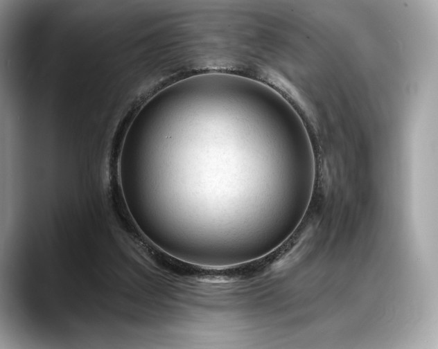 X0000088730203200705311435