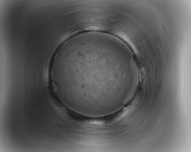 X0000088730204200705311435