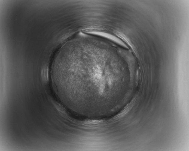 X0000088730205200705311435