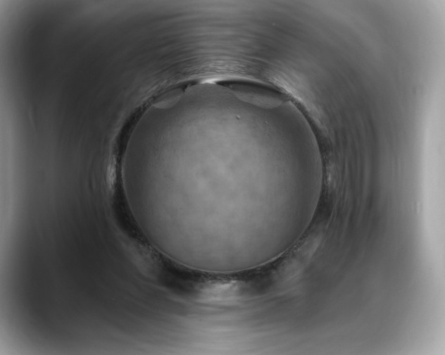 X0000088730206200705311435