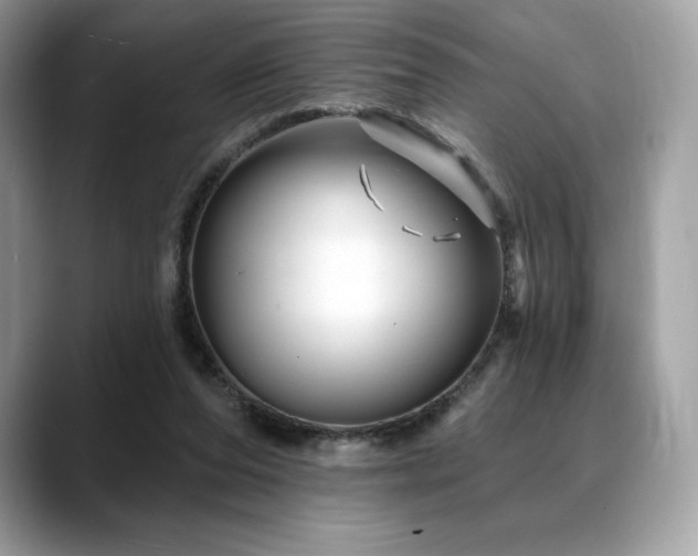X0000088730208200705311435