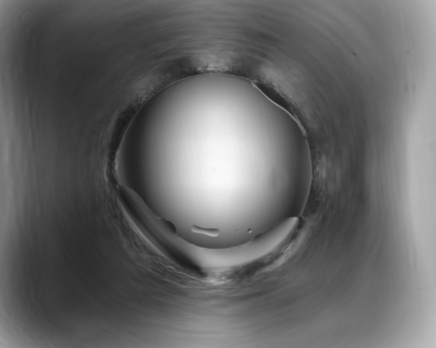 X0000088730209200705311435