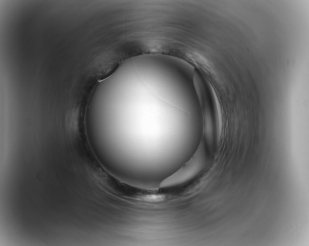 X0000088730217200705311435