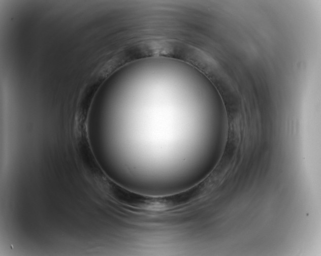 X0000088730218200705311435