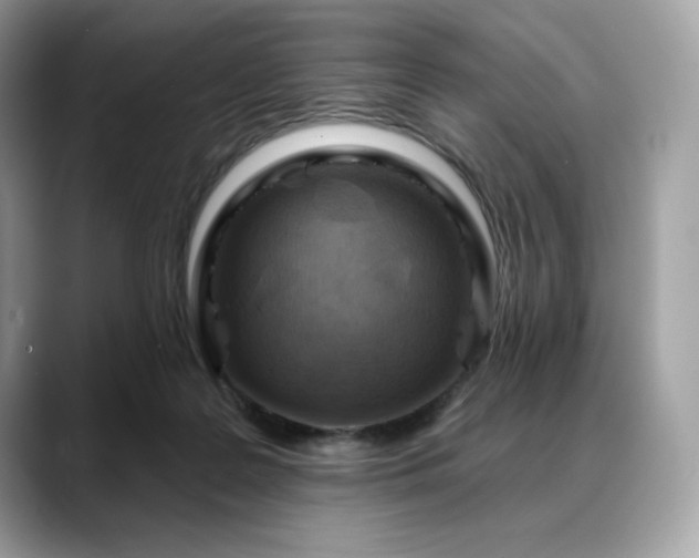 X0000088730219200705311435