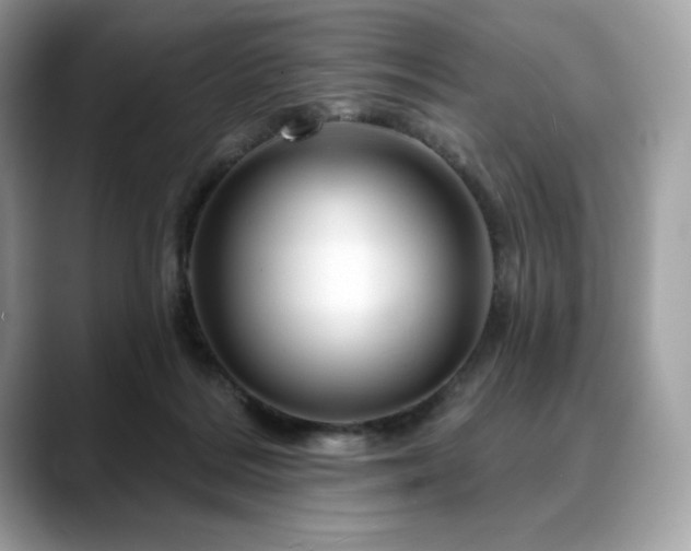 X0000088730220200705311435