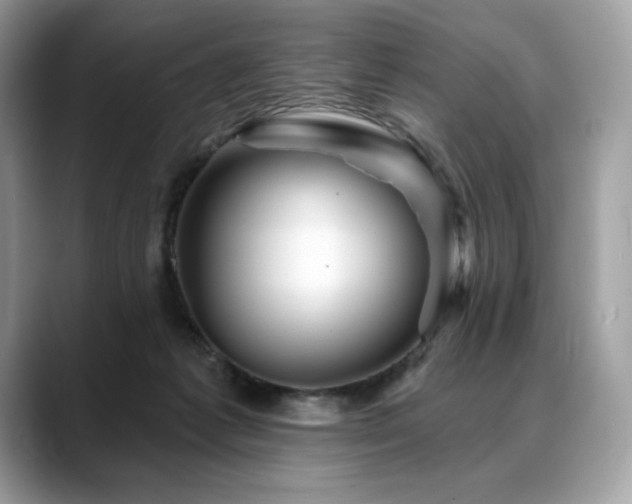 X0000088730221200705311435
