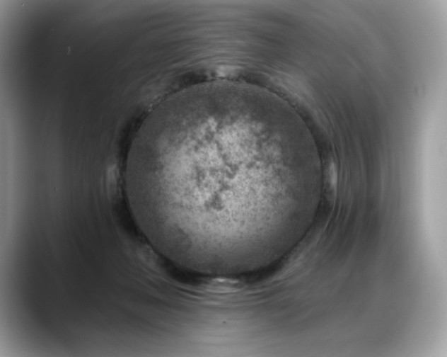 X0000088730222200705311435