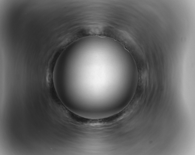 X0000088730228200705311435