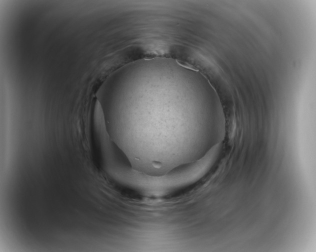 X0000088730229200705311435