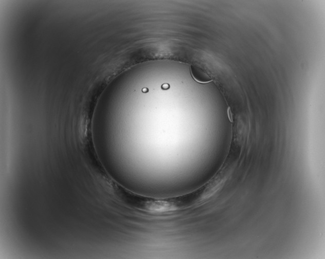 X0000088730230200705311435