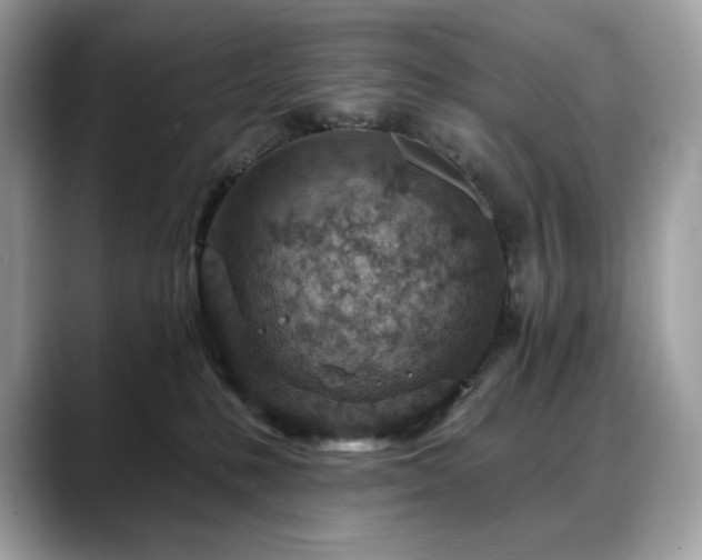 X0000088730231200705311435